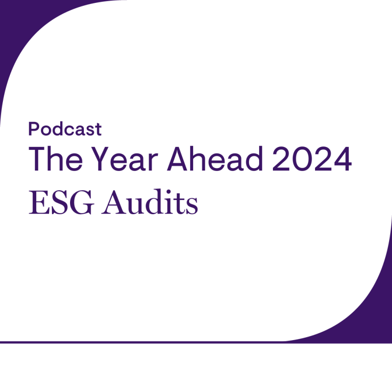 The Year Ahead 2024 ESG Jackson Lewis   Podcast   ESG Audits 